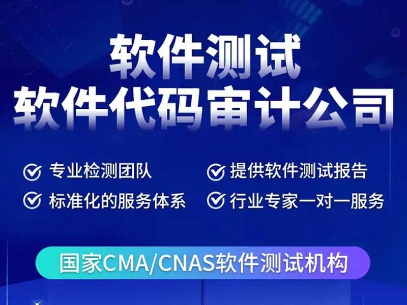 软件代码审计测试